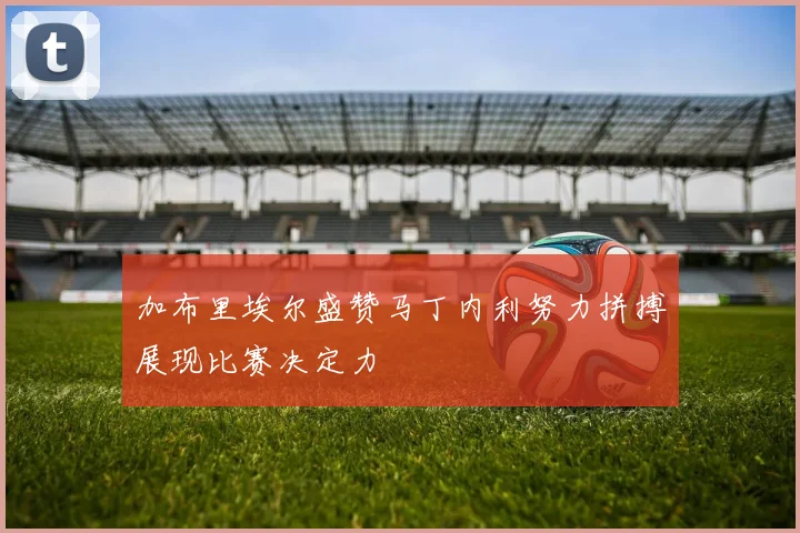 加布里埃尔盛赞马丁内利努力拼搏展现比赛决定力