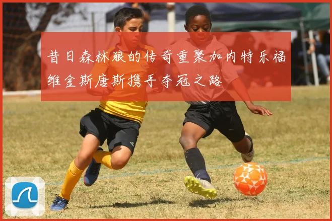 昔日森林狼的传奇重聚加内特乐福维金斯唐斯携手夺冠之路