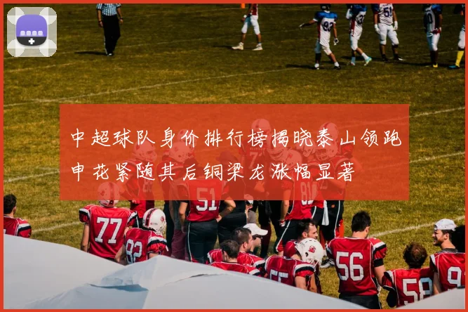 中超球队身价排行榜揭晓泰山领跑申花紧随其后铜梁龙涨幅显著